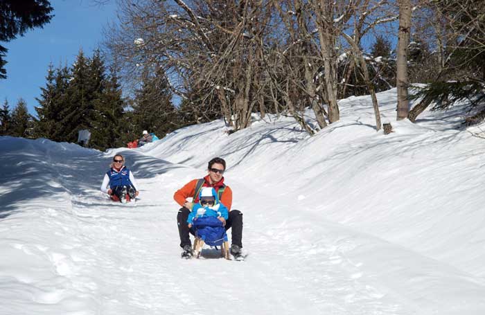La descente en luge au départ du restaurant, presque 3 kilomètres c'est le top 
